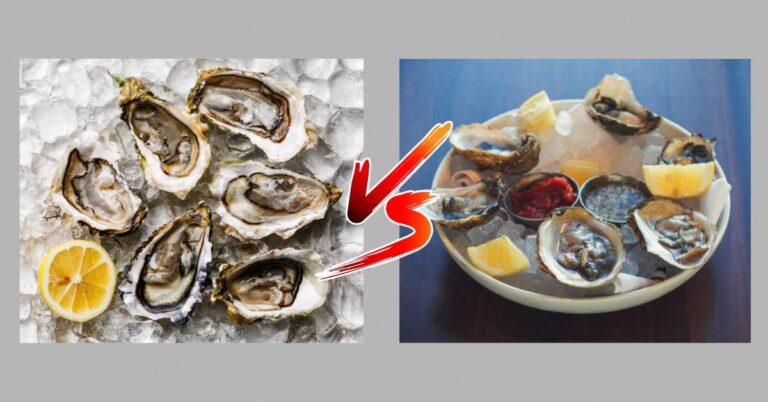 Difference Between West And East Coast Oysters
