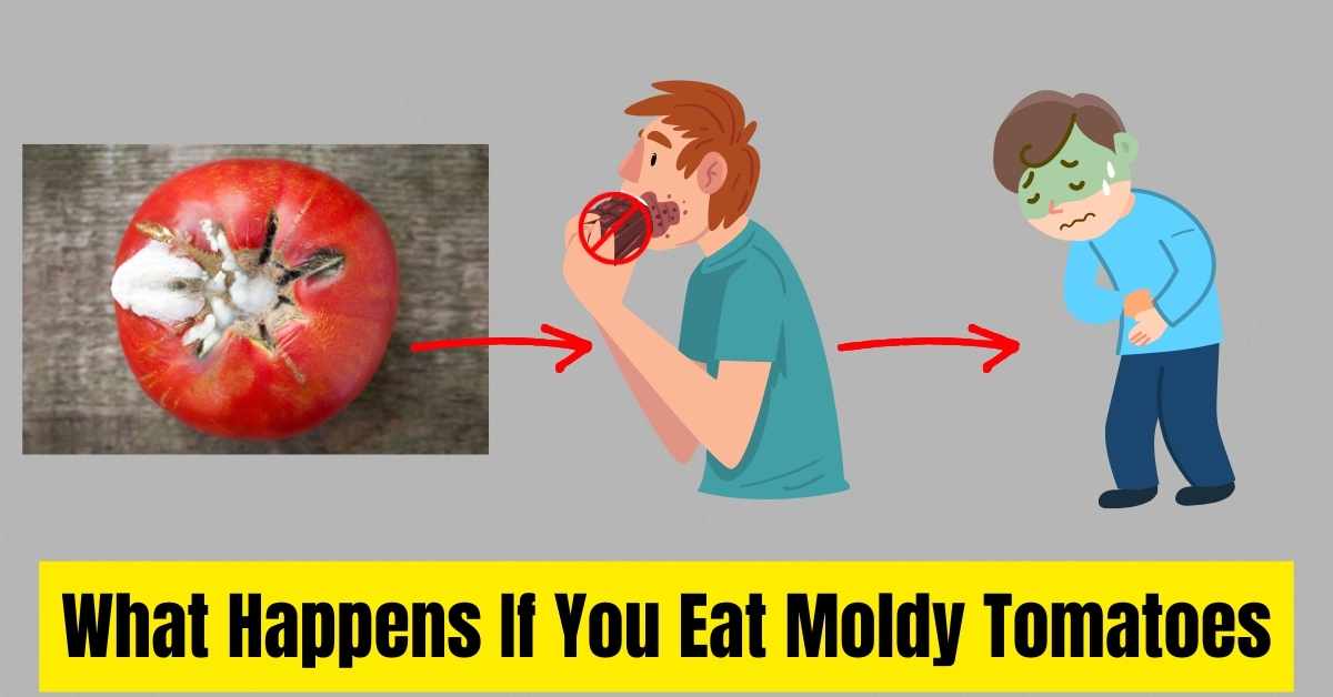 a man Eat Moldy Tomatoes and get sick