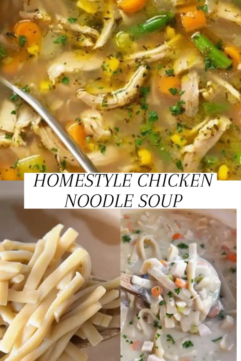 HOMESTYLE CHICKEN NOODLE SOUP